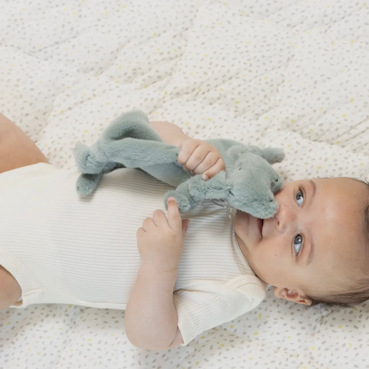 Pacifier Buddy - Freddie the Frog