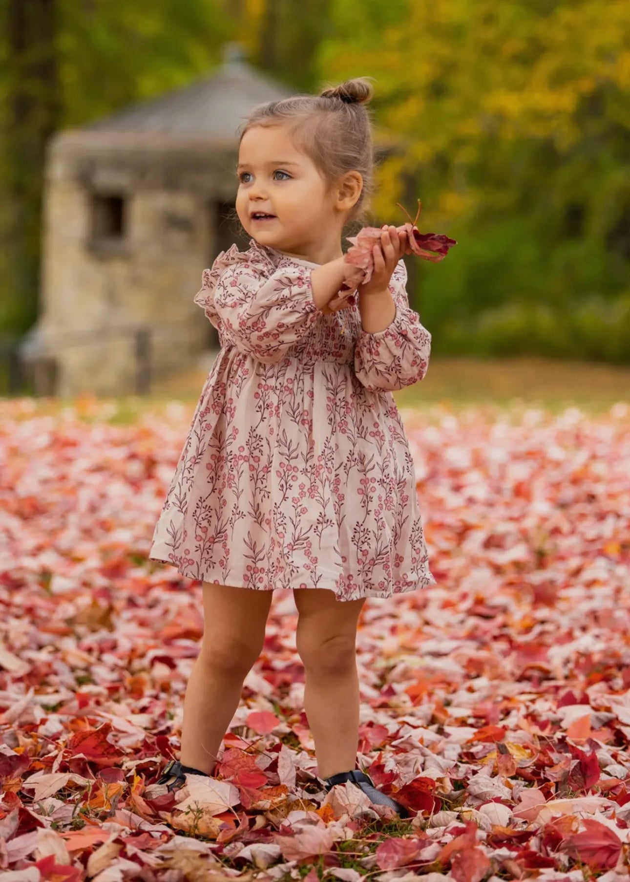 Autumn Floral Dress Long Sleeve - Baby