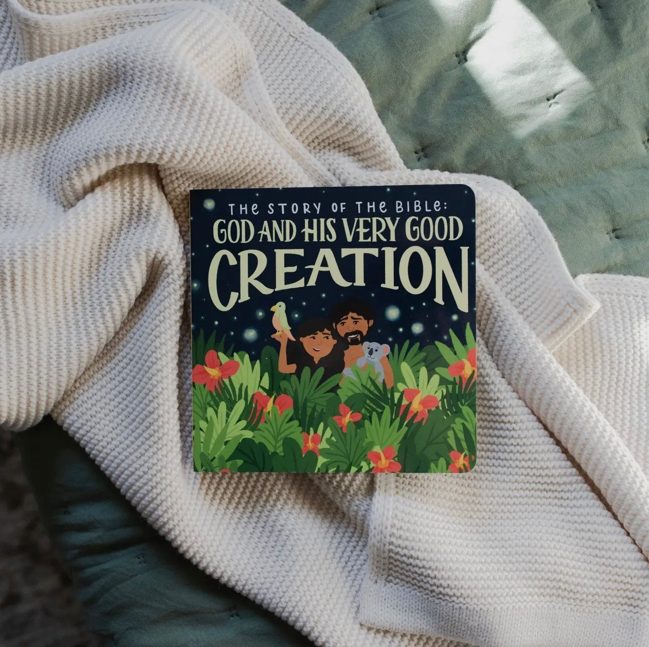 God And His Creation Board Book