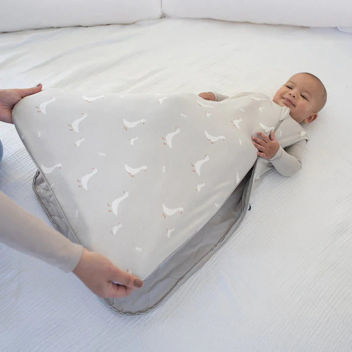 Sleep Bag 1.0 - Goose