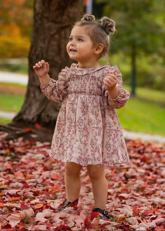 Autumn Floral Dress Long Sleeve - Toddler