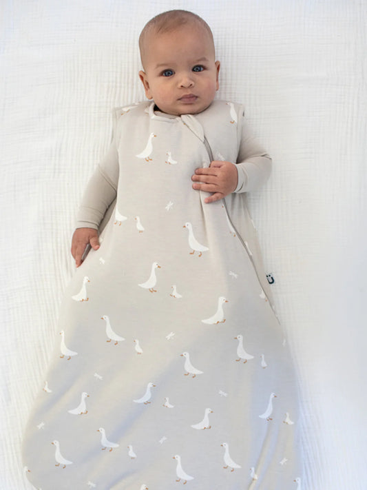 Sleep Bag 1.0 - Goose