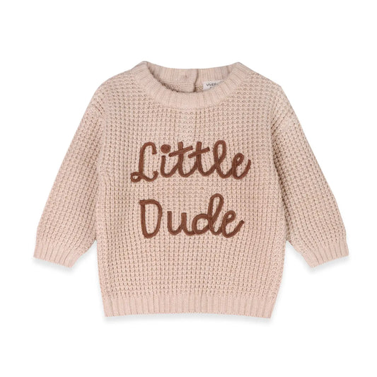 Little Dude Embroidered Sweater Knit Baby Pullover